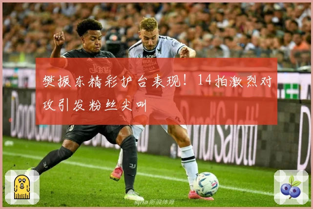 樊振东精彩护台表现！14拍激烈对攻引发粉丝尖叫