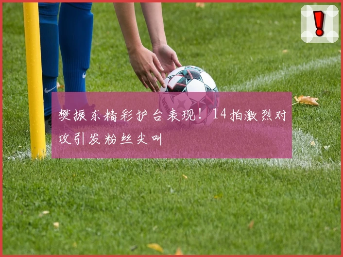 樊振东精彩护台表现！14拍激烈对攻引发粉丝尖叫